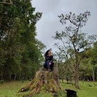 Daniela Muñoz的照片