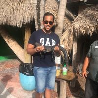 Fotos de Vinu Abeyawardena