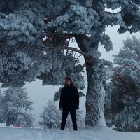 Christian Timpani的照片