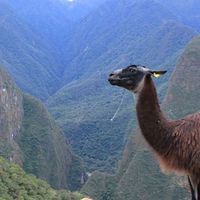 Axel Dreyer的照片