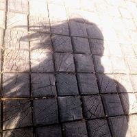 Екатерина Belova的照片