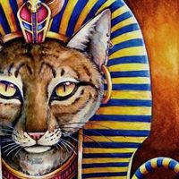 Erik Cardoso's Photo