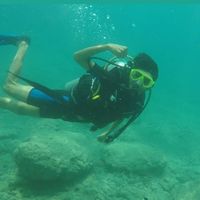 Mahdi Alobaidi的照片