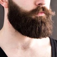 Stoph Morad的照片