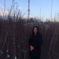 Naghmeh p的照片
