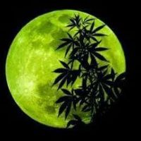 Pablo Ferrari's Photo