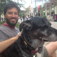 Fotos de Tareq Hardan