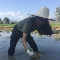 Prachi Patel的照片