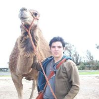 Andúl Zambrano的照片