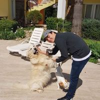 Mert Havalak's Photo