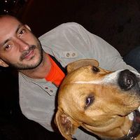 André Araujo's Photo