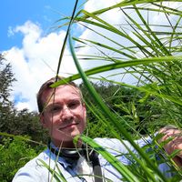 Fotos de Matjaz Jevsnik