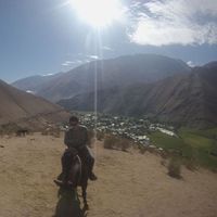 Nicolás Araya's Photo