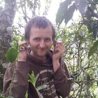 Robert Kajstura的照片