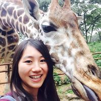 Fotos de Phoebe Chen