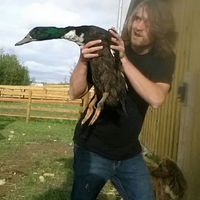 Matthew Waines's Photo