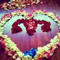 Habichuela Voladora's Photo