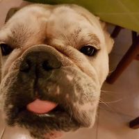 Photos de Marcello Di Pollina