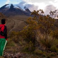 Fotos von Jackson Rodriguez