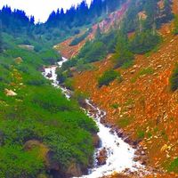 Rory Ferrer的照片