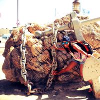 Michelle Cabral Socías's Photo