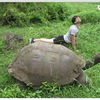 Federico Wainstein的照片