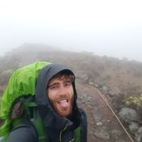 timothy yans的照片