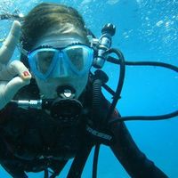 Veskeare Bocca Sana's Photo