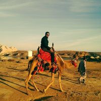 Mohammad Sameti's Photo