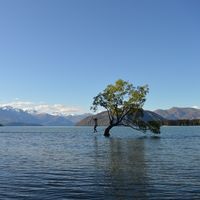 Fotos de Johan Maillol