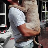 Ariel Gandini's Photo