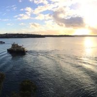 Geoffrey Wells's Photo