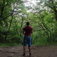 Radu Eftimie's Photo