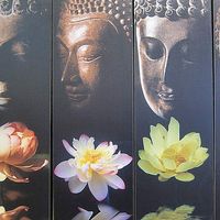 Amita Narayani's Photo