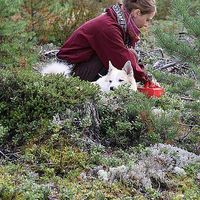 Fotos von Heidi Niemi