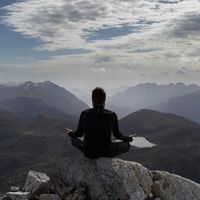 Marino Edelweiß的照片