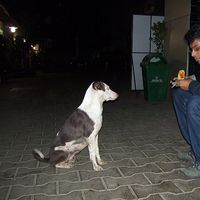 Merwin Fernandes's Photo