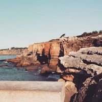 Emina Mujanic的照片