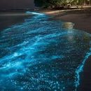 Last Iftar ( In Albustan Beach ) 的照片