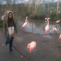 Madison Quartey的照片