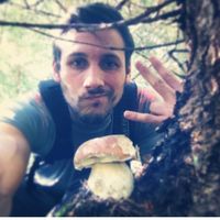 Sebastiano Rui的照片