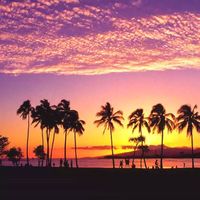 Max Torgayev's Photo