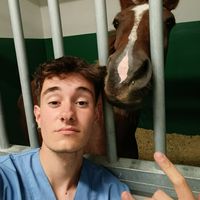 Javier Munárriz的照片