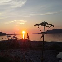 Alf Jørgen Geving's Photo