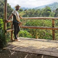 Romain Loison's Photo