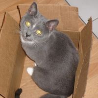 Annika Poetzschner's Photo