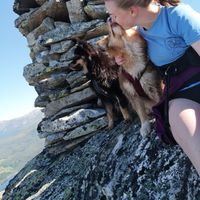 Susanne Håheim's Photo