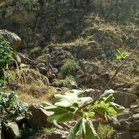 Hamid Ramento's Photo