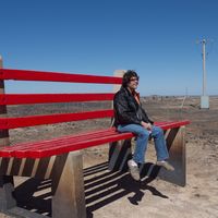 Stephen Hamacek的照片