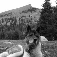 Derek Allison's Photo